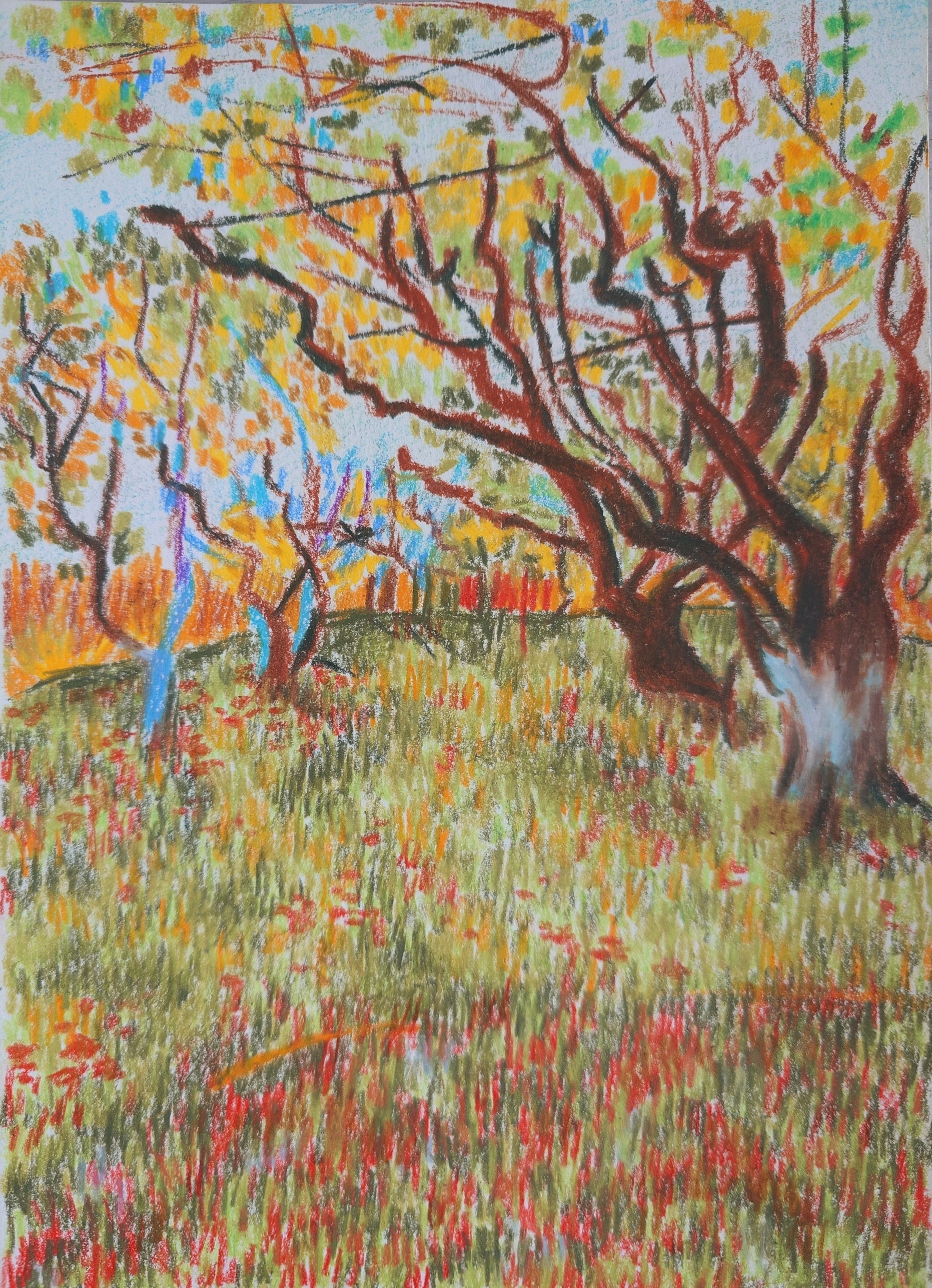Orchard