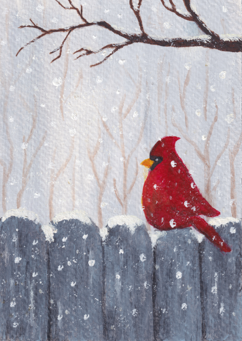 Bird