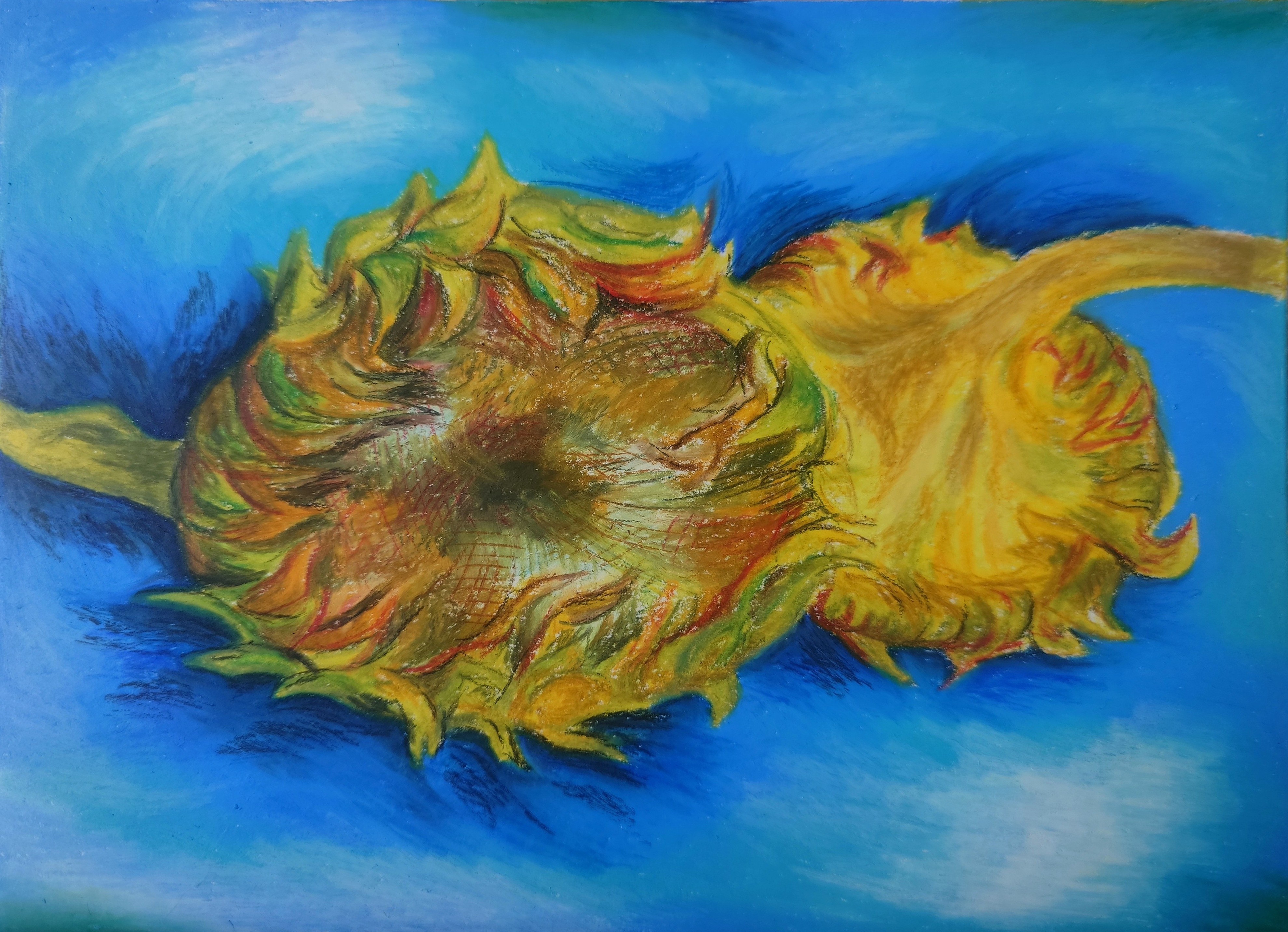 two_sunflowers